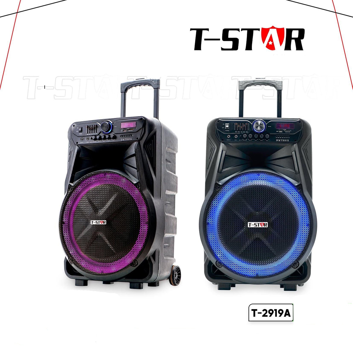 T-2919A 15″ FM USB Wireless Speaker
