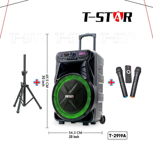 T-2919A 15″ FM USB Wireless Speaker